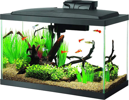 10 Gallon Aquarium Starter Kit with LED Lighting