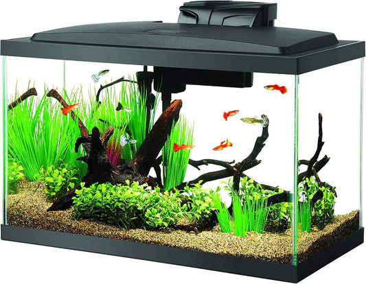 10 Gallon Aquarium Starter Kit with LED Lighting