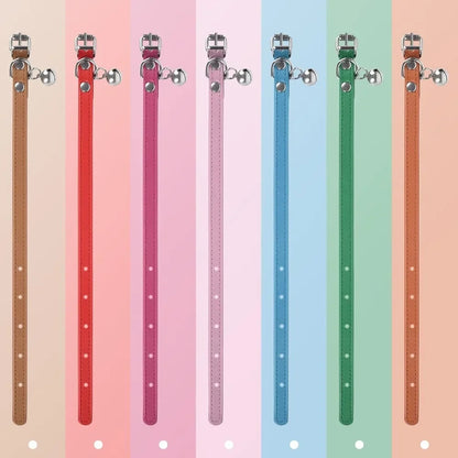 Adjustable Collar Small, Medium, and Large Pets