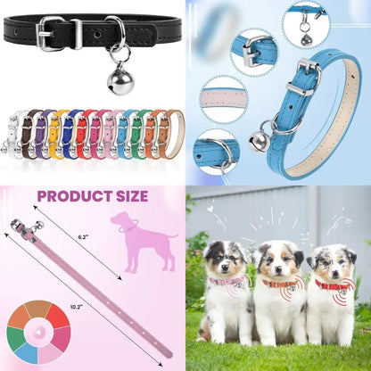 Adjustable Collar Small, Medium, and Large Pets