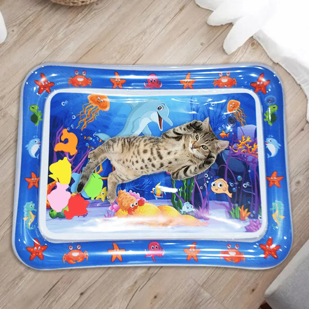 Sensory Water Play Mat with Fish