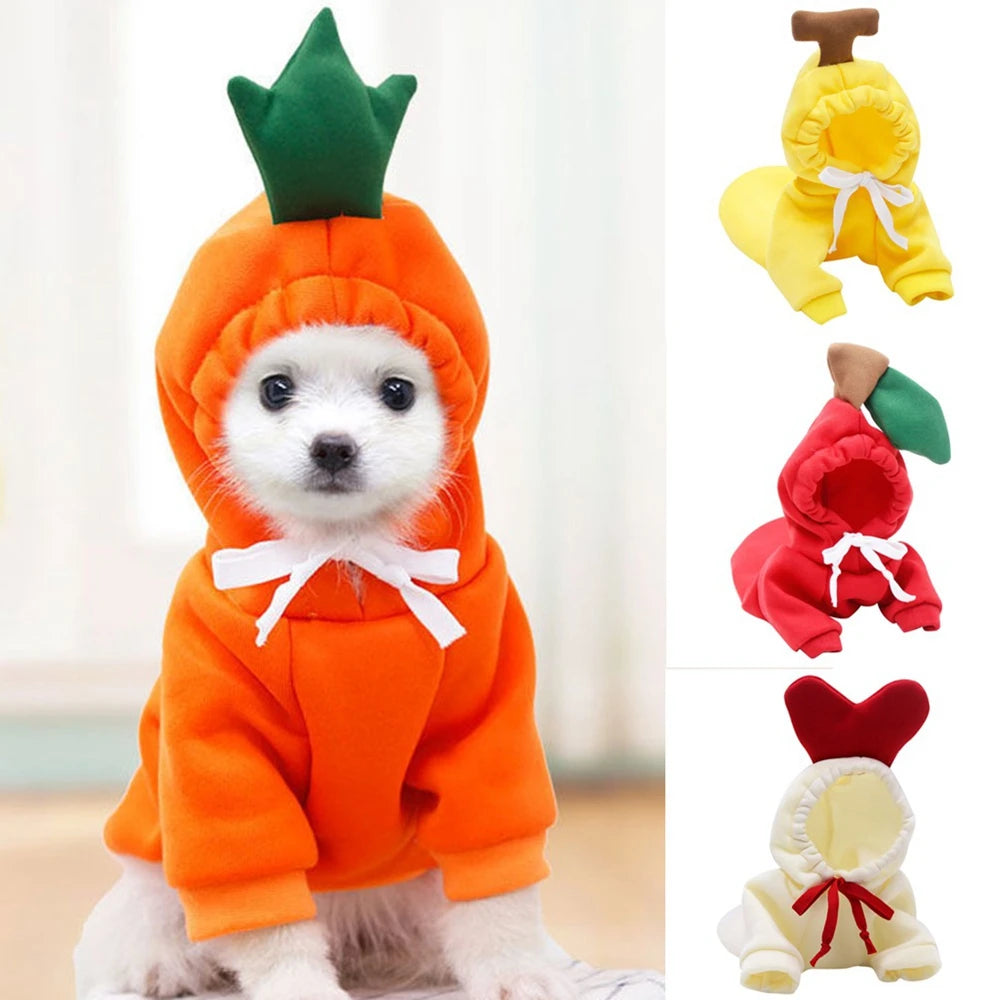 Warm Pet Fruit Hoodies in S to XXL
