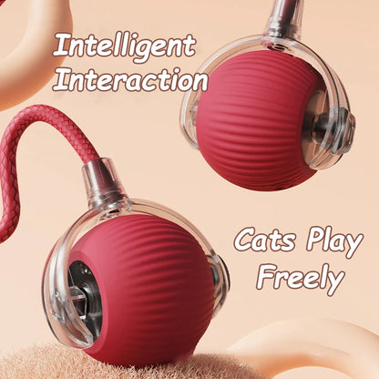 2pcs Ball & Mouse w/Tail Pet Toys-Rechargeable