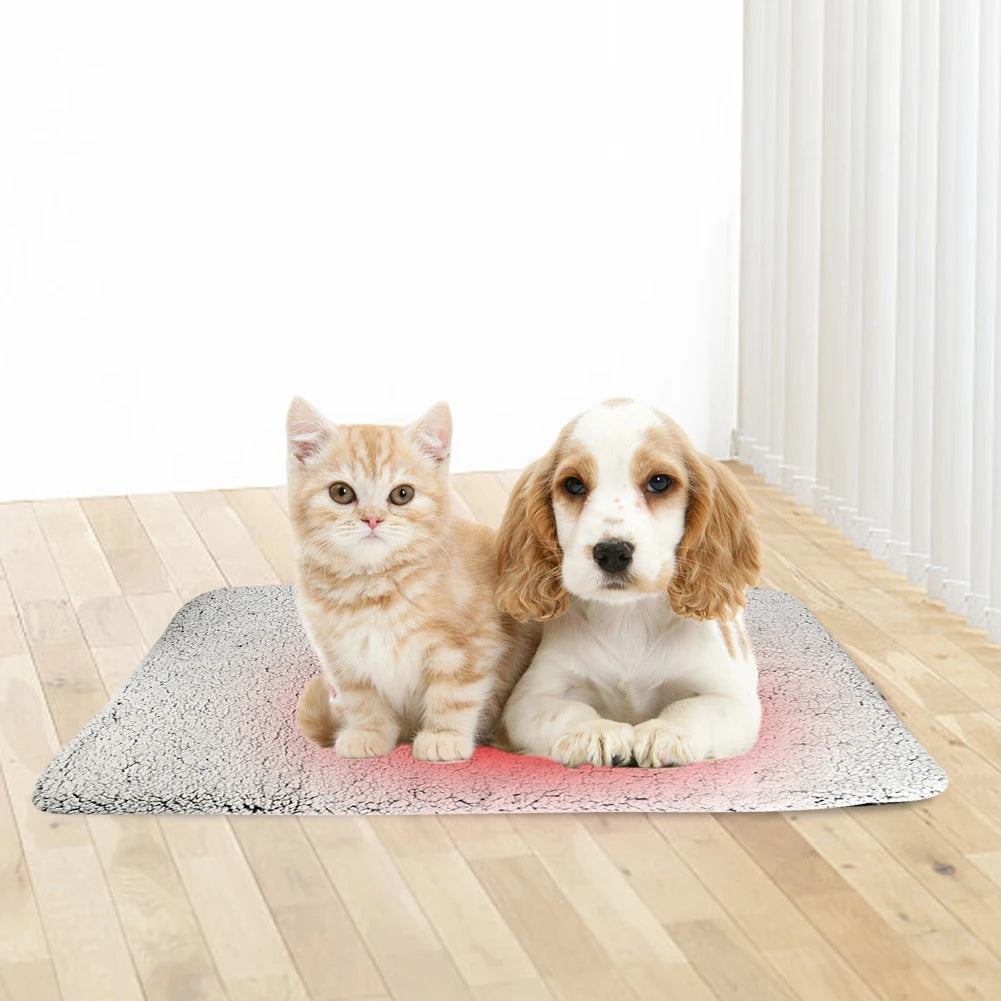 Self-Warming Thickened Blanket Pet Pad