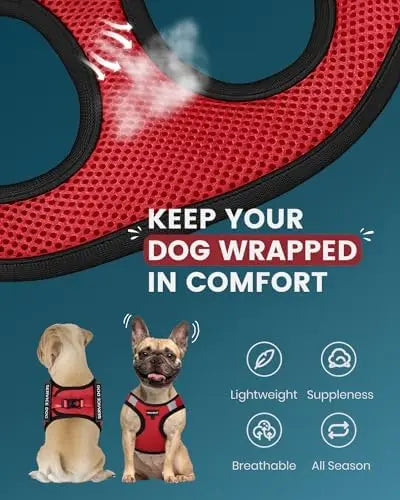 Service Dog Vest for Small Dogs with Patches