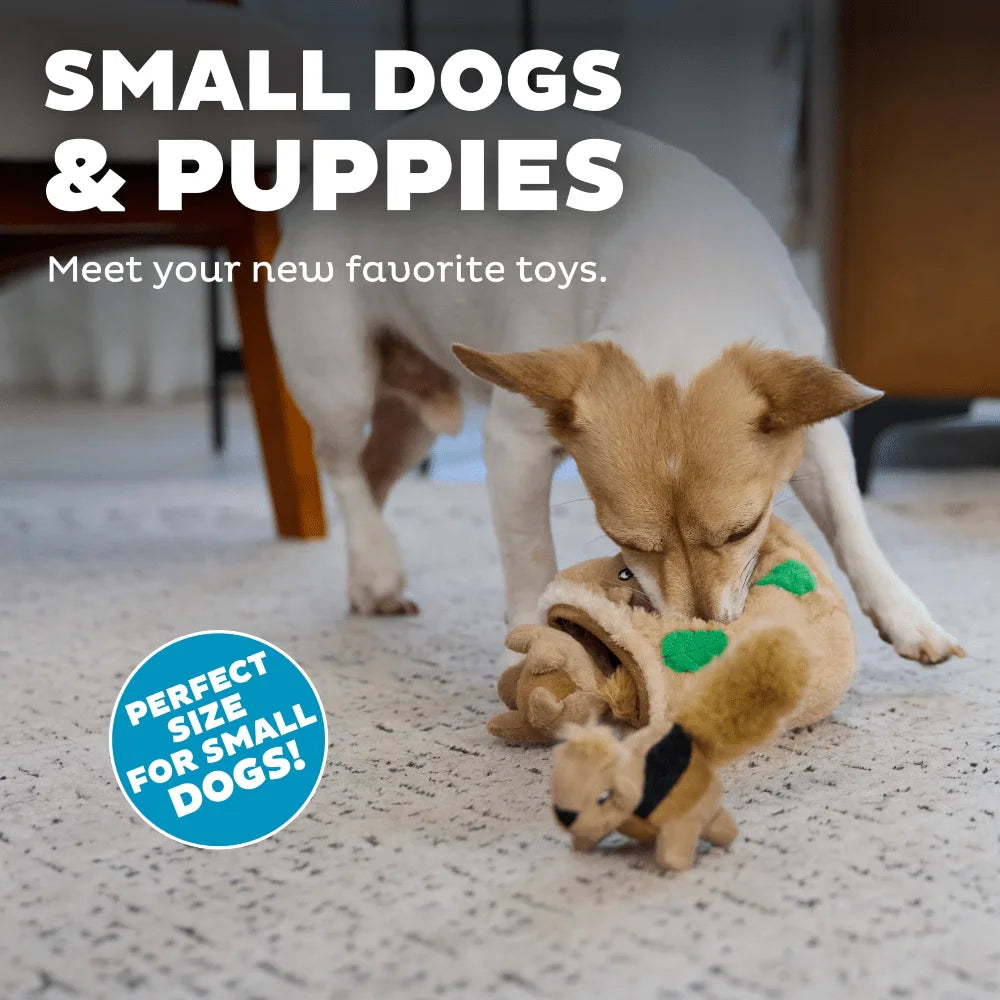 Squirrel Hide Toys w/Removable Squeakers