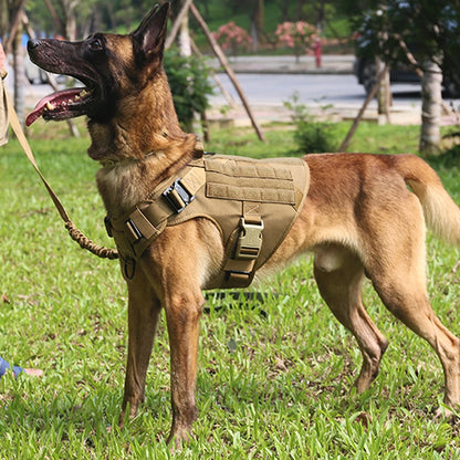 Training Harness for Small to Extra Large Dogs