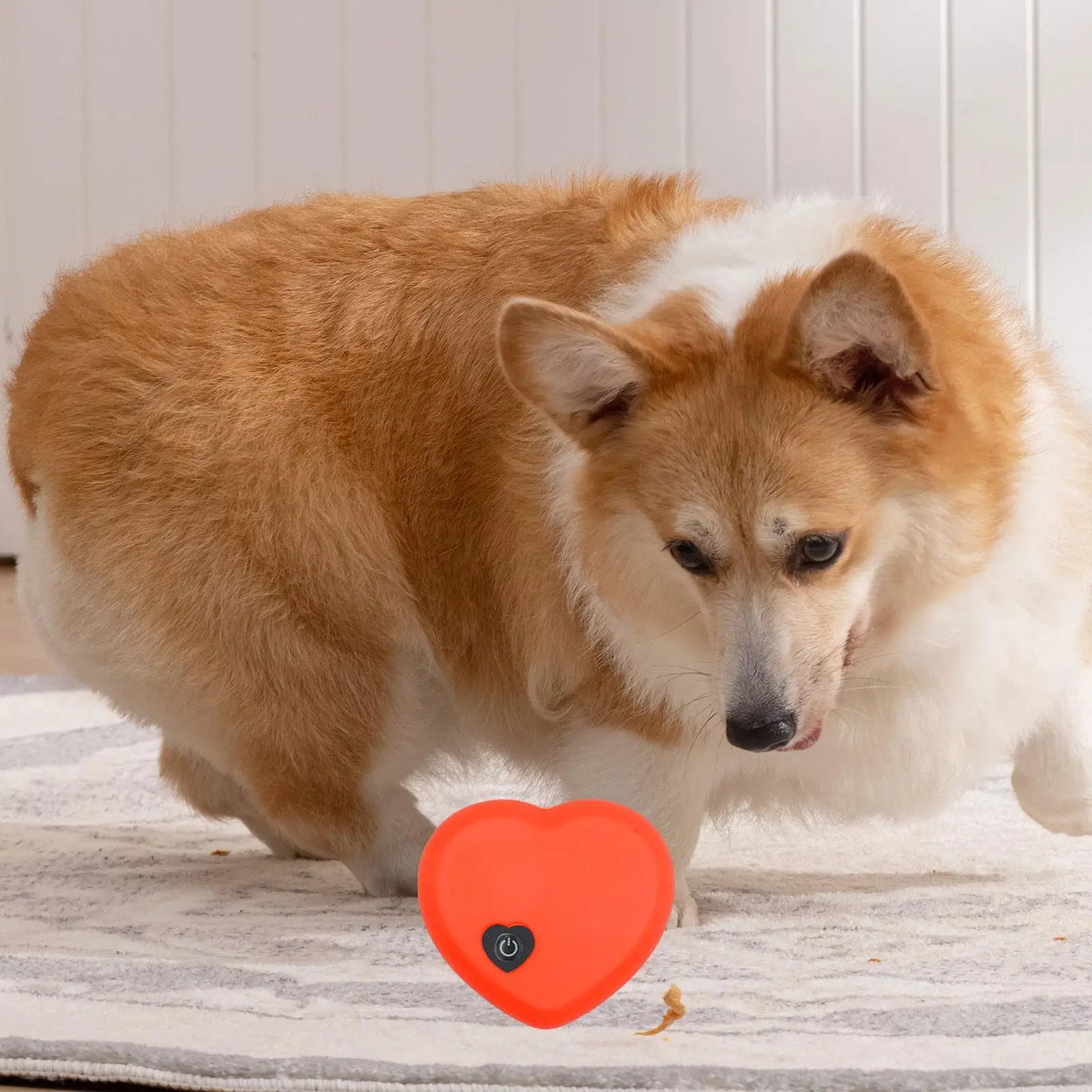 Calming Sleep Aid for Pet Separation Anxiety