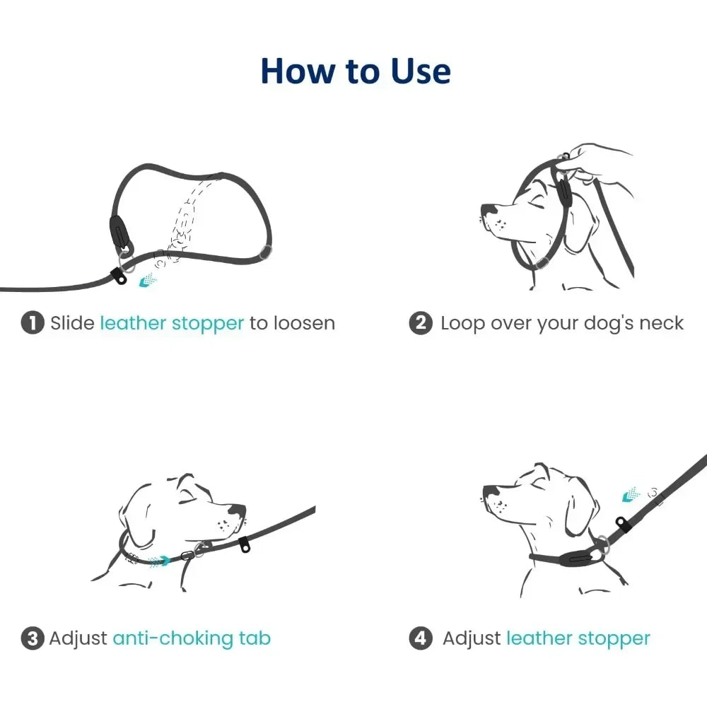 Dog Training Slip Leash, 6 ft, 3/8 inch