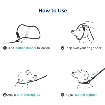 Dog Training Slip Leash, 6 ft, 3/8 inch