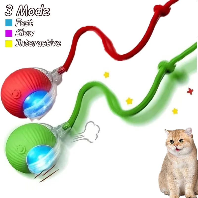 2pcs Ball & Mouse w/Tail Pet Toys-Rechargeable
