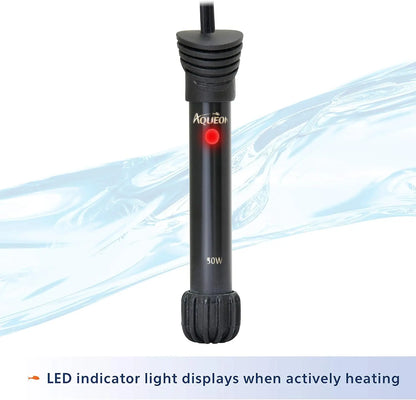 10 Gallon Aquarium Starter Kit with LED Lighting