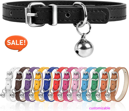 Adjustable Collar Small, Medium, and Large Pets