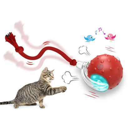 Interactive Toy Super Drive Rolling Ball