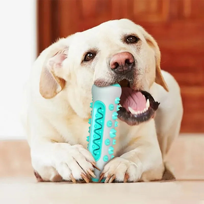 1PCS Dog Dental Chew Toys