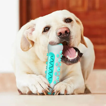 1PCS Dog Dental Chew Toys