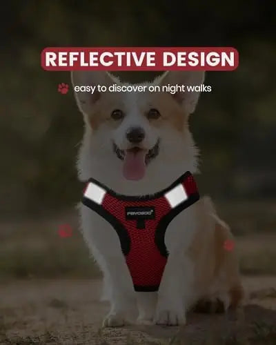 Service Dog Vest for Small Dogs with Patches