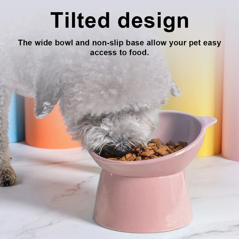 Tilted Elevated Pet Food Bowl - Non-Slip