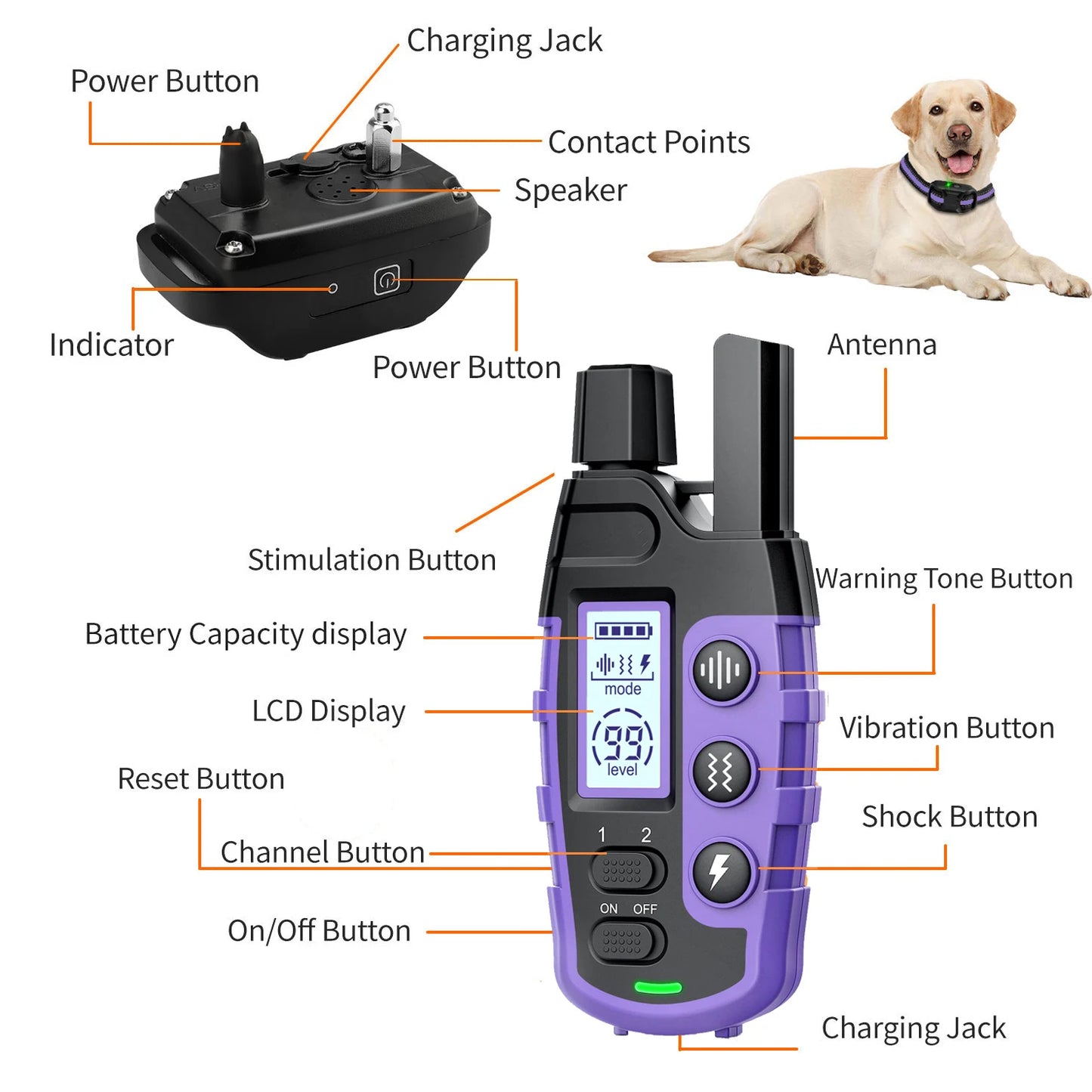Waterproof Electric Dog Training Collar w/Remote Control