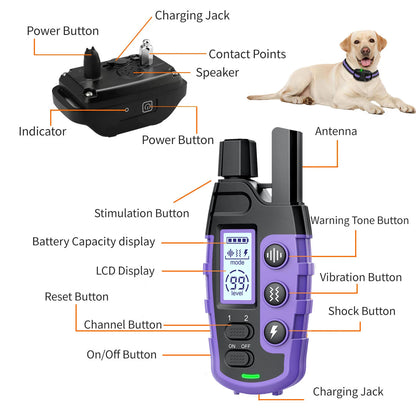 Waterproof Electric Dog Training Collar w/Remote Control