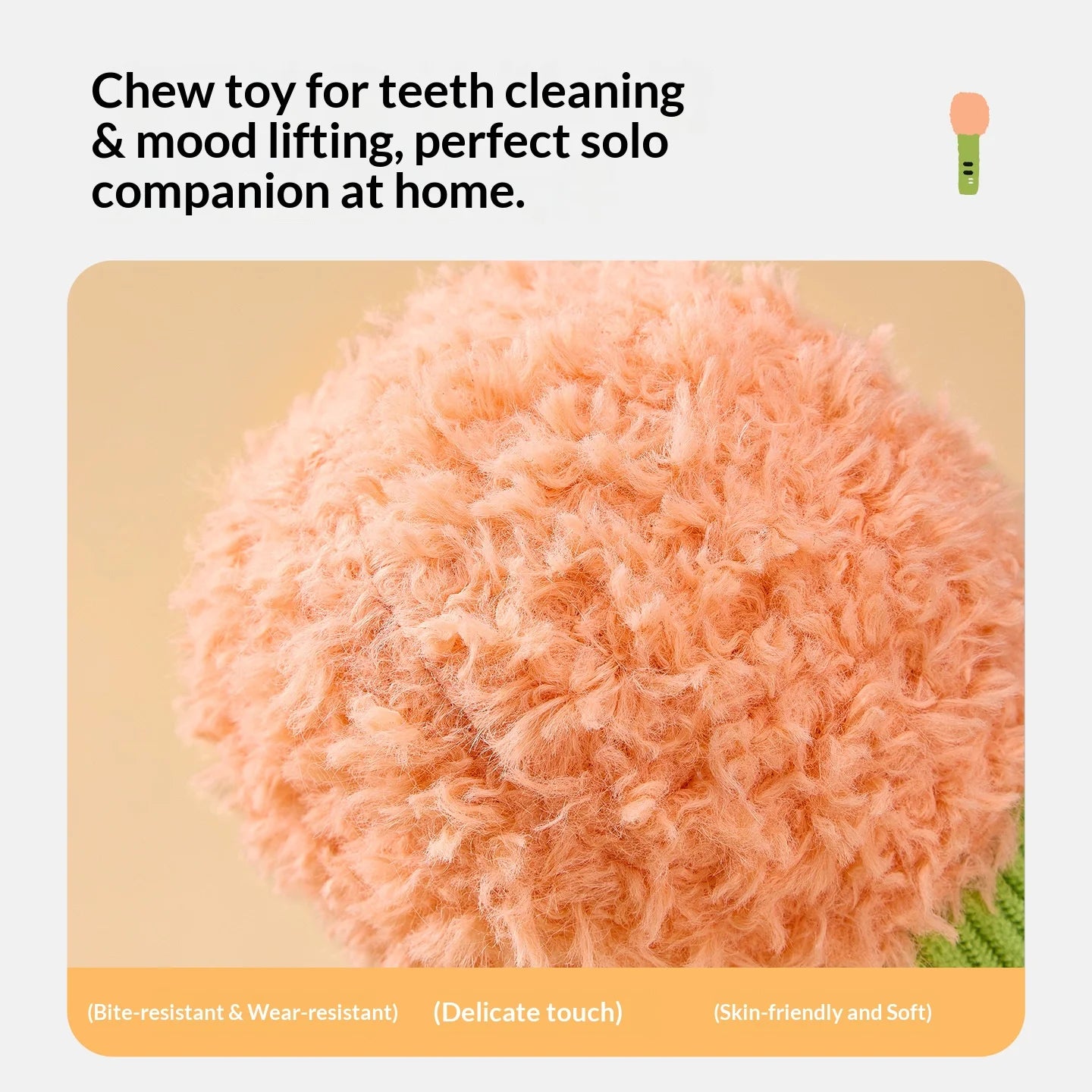 Squeaky Crinkle Pet Chew Toy w/Catnip