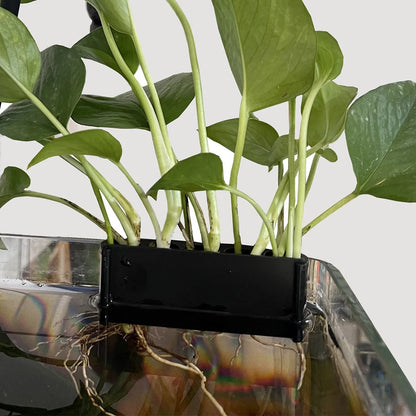 1-3Pcs Aquarium Plant Basket Rack Support with Hook