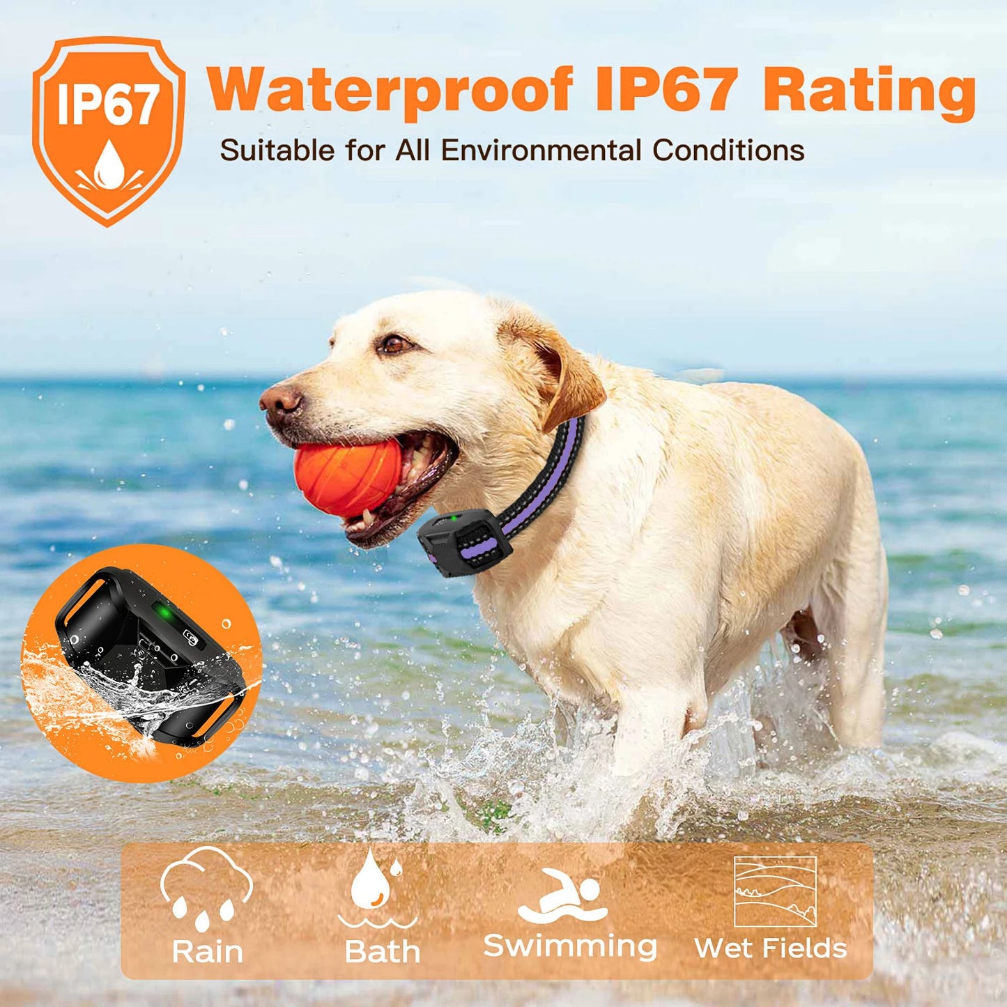 Waterproof Electric Dog Training Collar w/Remote Control