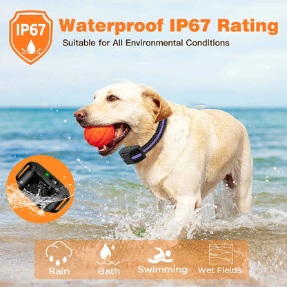 Waterproof Electric Dog Training Collar w/Remote Control