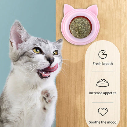 Rotatable Catnip Ball Toy