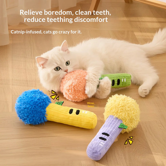Squeaky Crinkle Pet Chew Toy w/Catnip