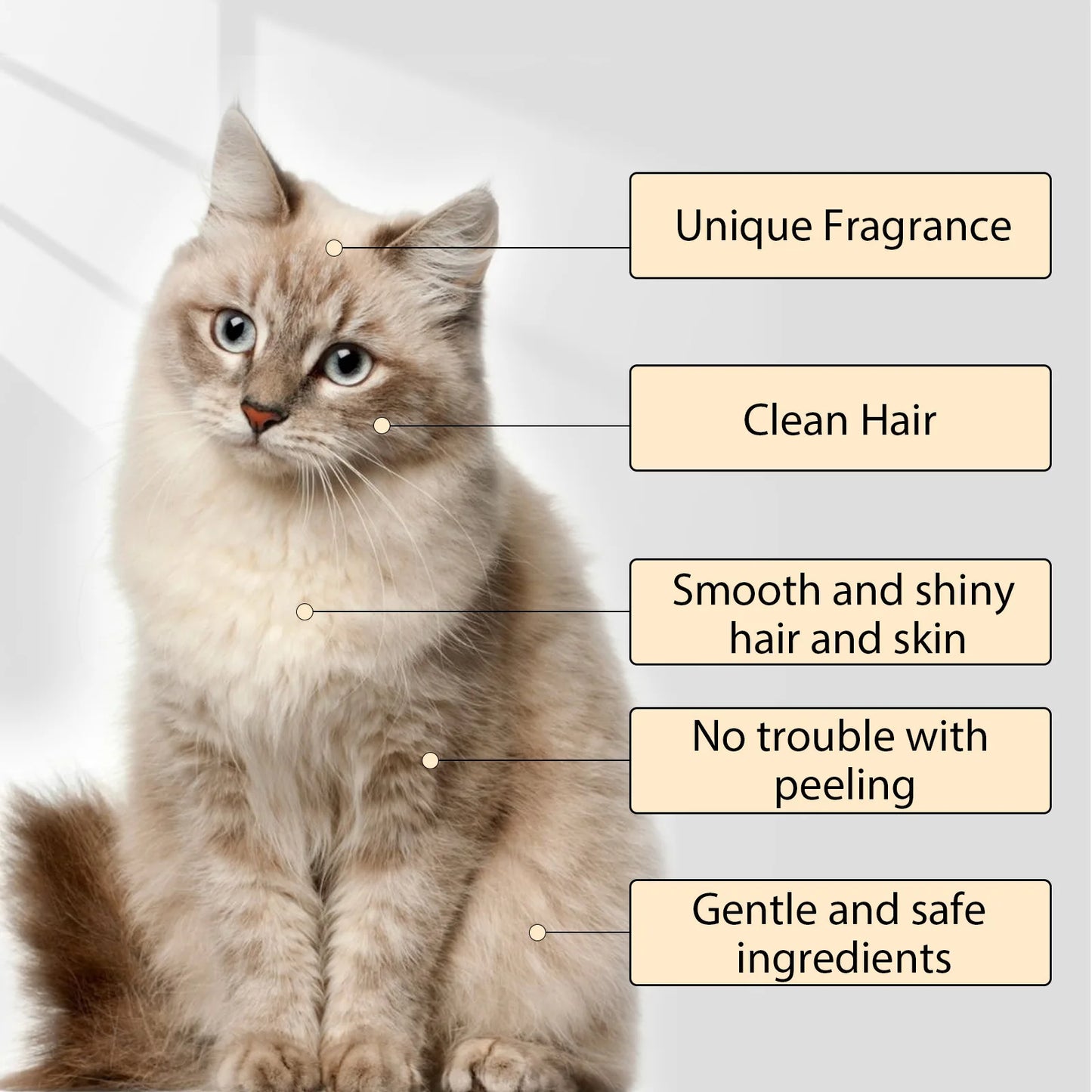 Yegbong :  Pet Shampoo Flea & Mite Killer
