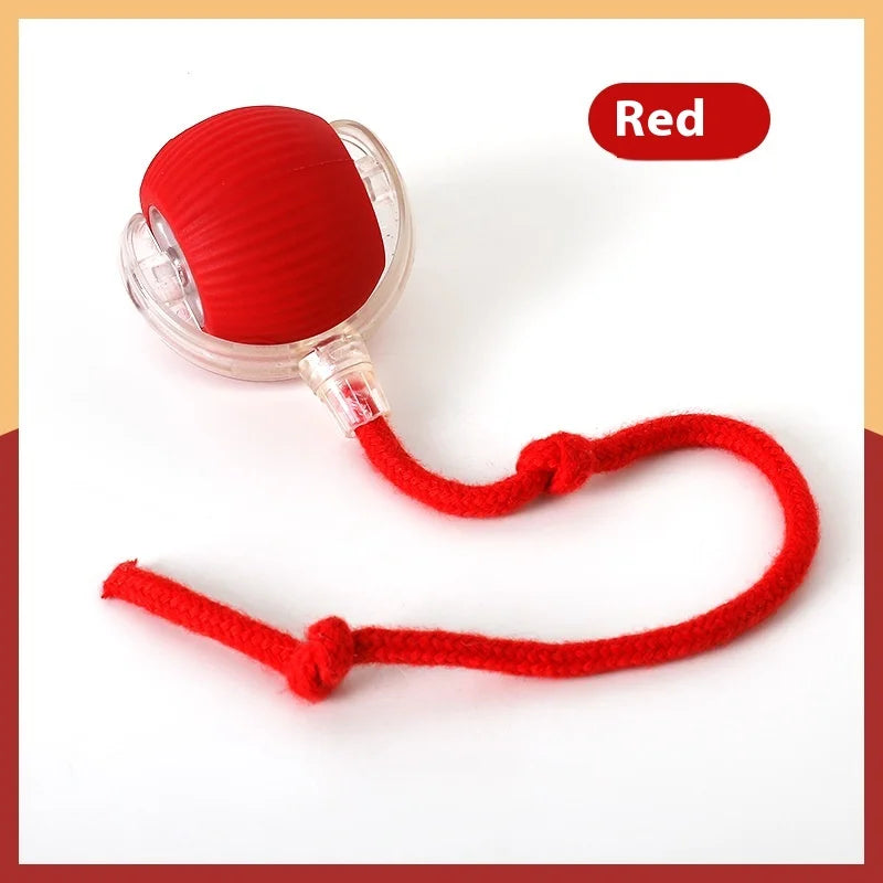 Interactive Toy Super Drive Rolling Ball
