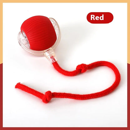 Interactive Toy Super Drive Rolling Ball