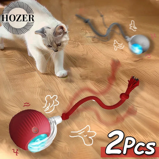 2pcs Ball & Mouse w/Tail Pet Toys-Rechargeable