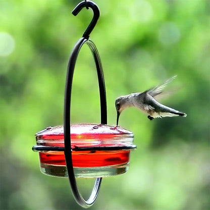 Red Glass Bowl Hummingbird Feeder