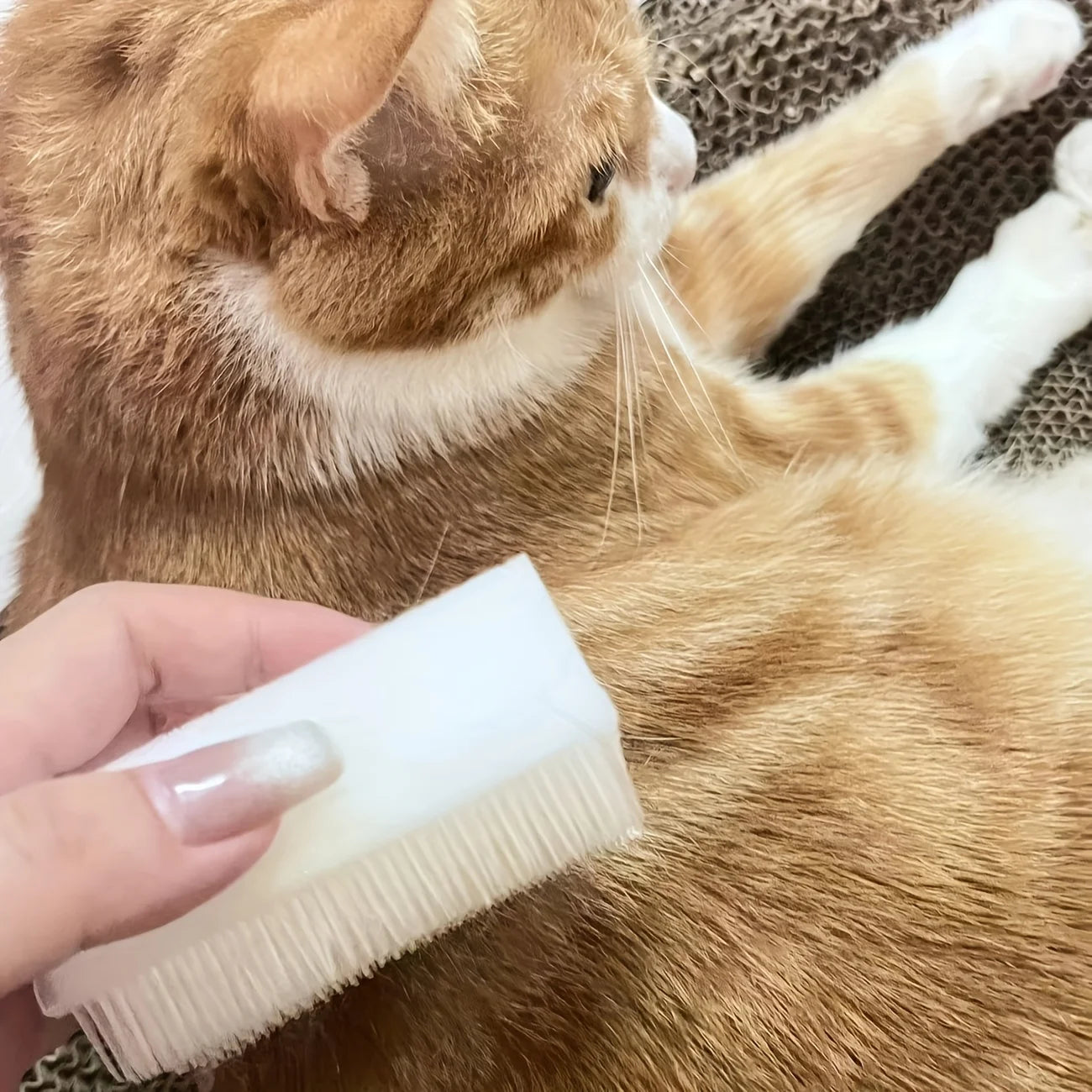 1pc Soft Bristle Cat Tongue Sensory Brush