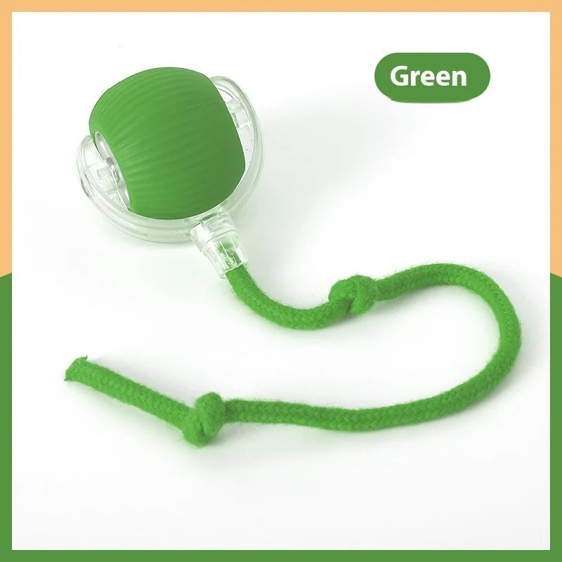 Interactive Toy Super Drive Rolling Ball