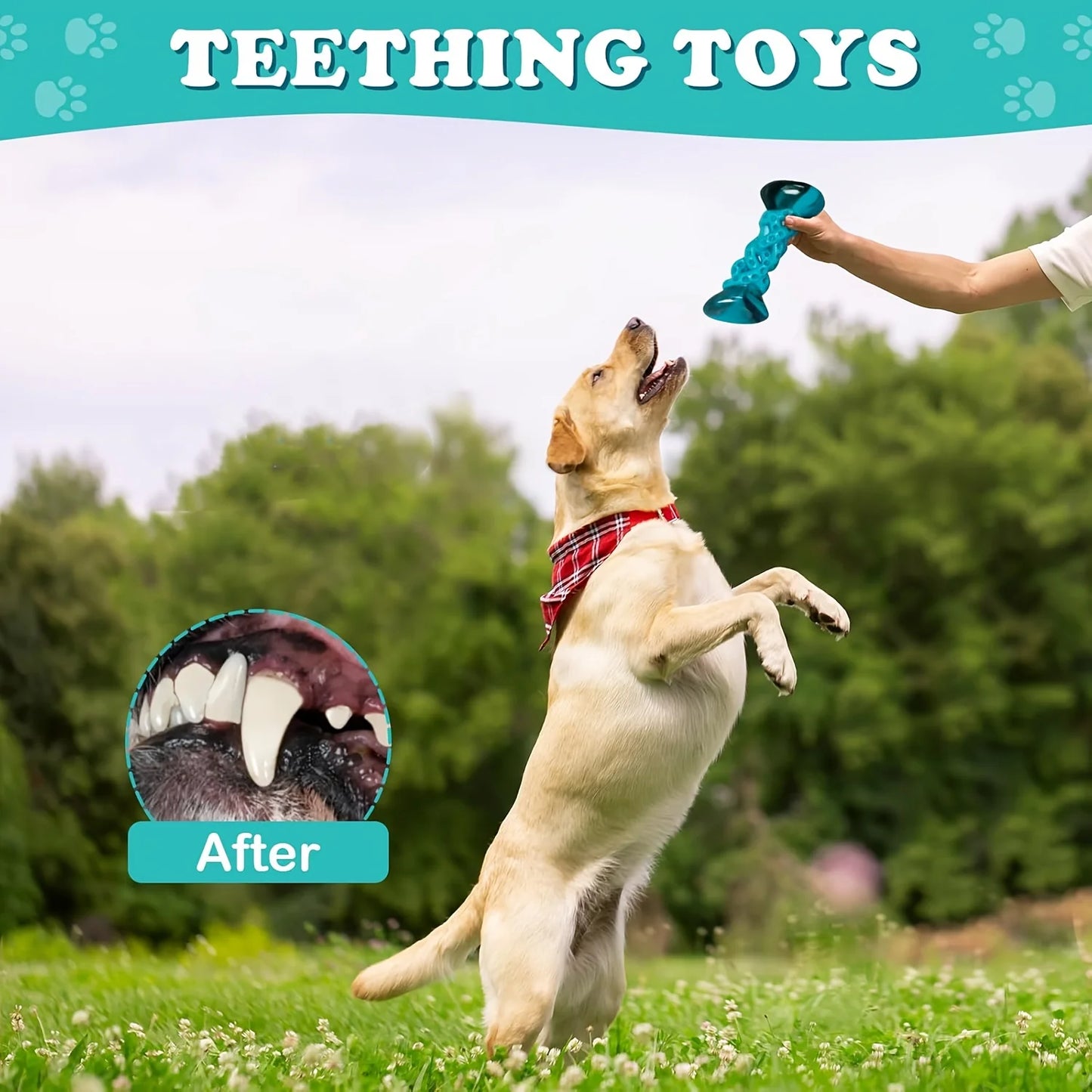 Durable Chew Toy for Aggressive Chewers