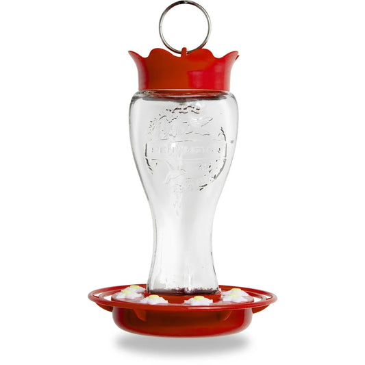 16oz Glass Hummingbird Feeder Bee Resistant