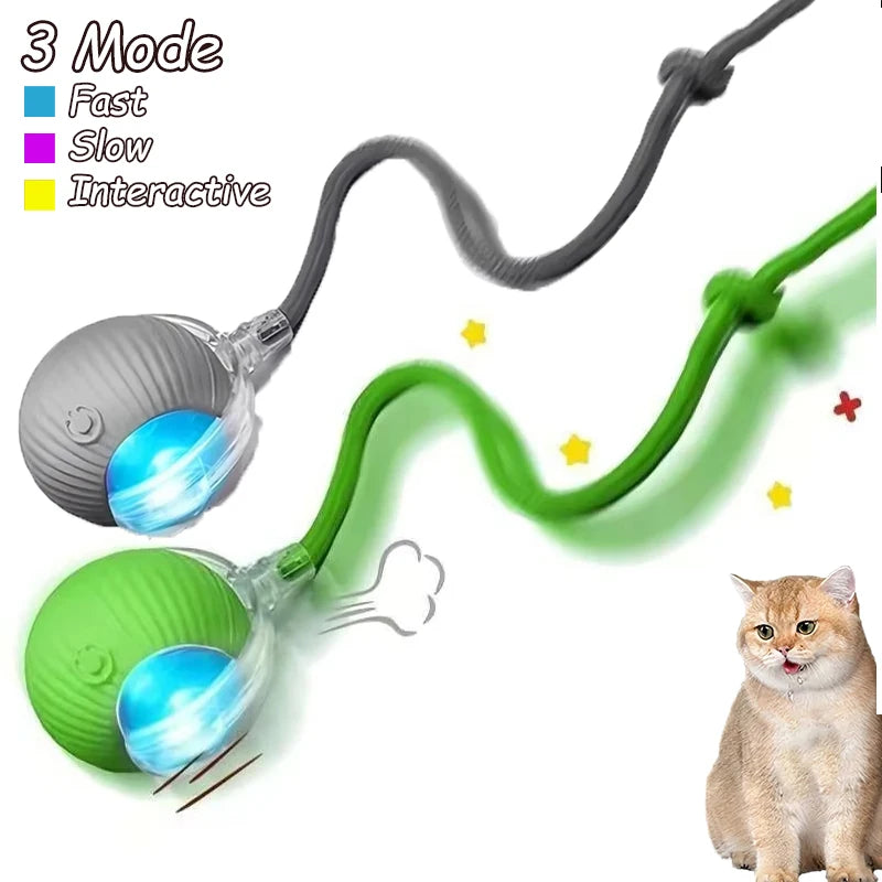 2pcs Ball & Mouse w/Tail Pet Toys-Rechargeable