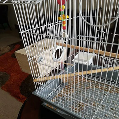 Transparent & Wood Parakeet Nesting Box