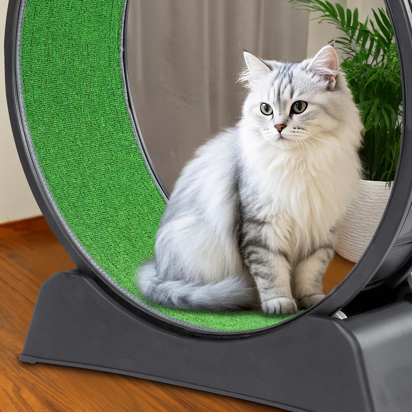 Indoor Large Cat Exercise Wheel Treadmill Cat Running Wheel Silent Movement Toy
