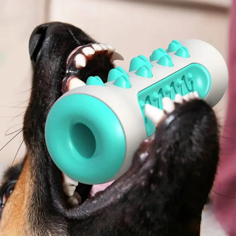 1PCS Dog Dental Chew Toys