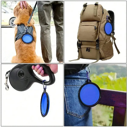 Folding Portable Silicone Pet Bowl w/Carabiner