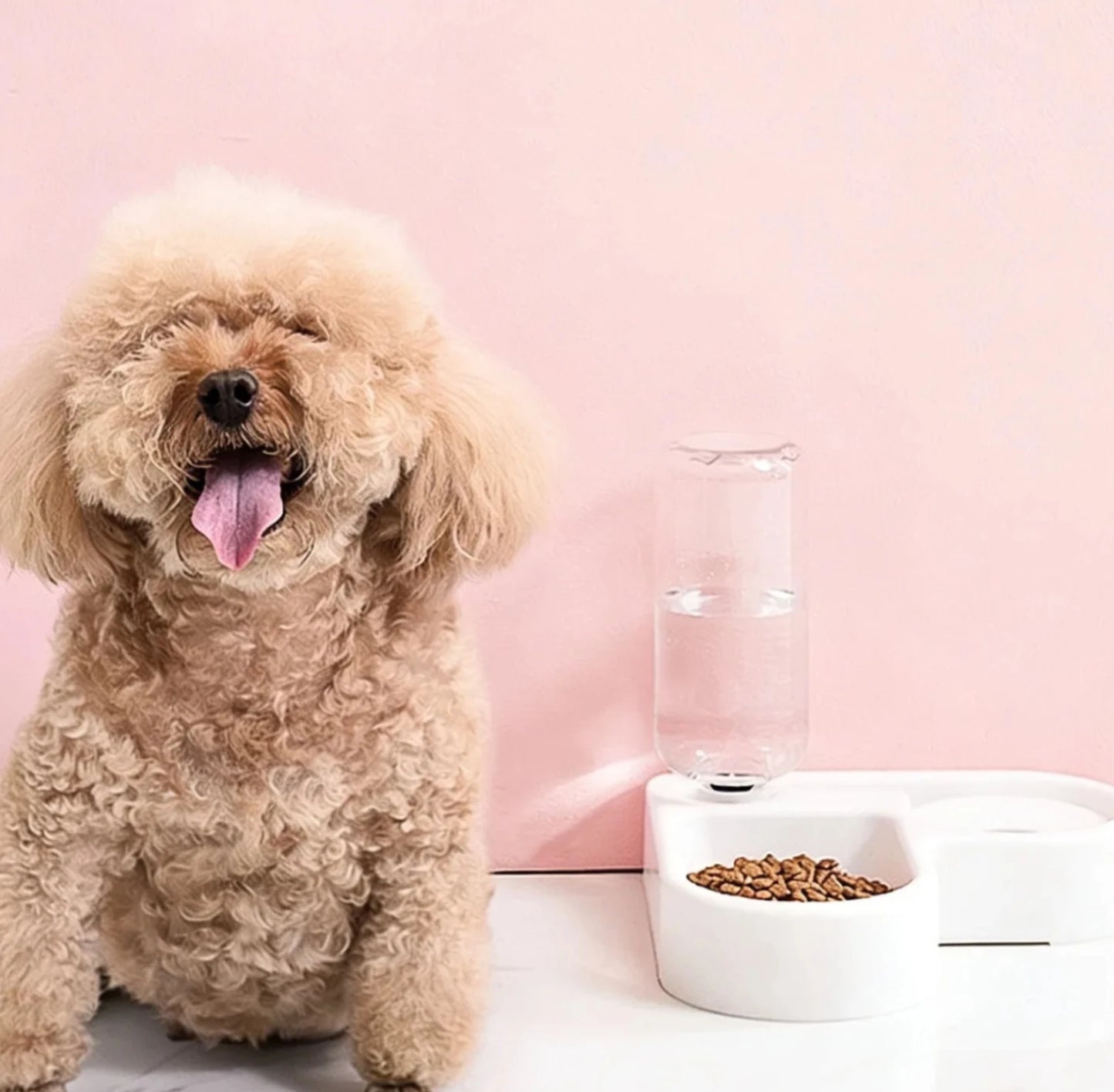 Pet Food Bowl w/Water Bottle