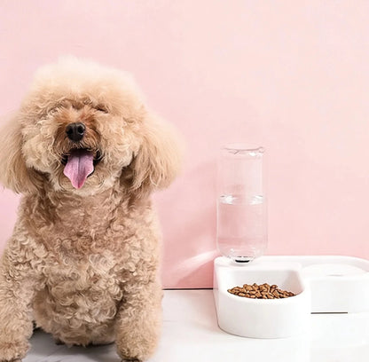 Pet Food Bowl w/Water Bottle