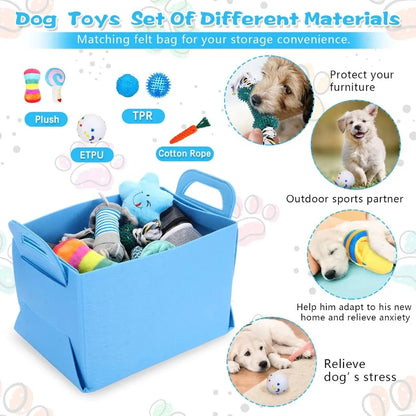65 Pcs Starter Kit for Puppies