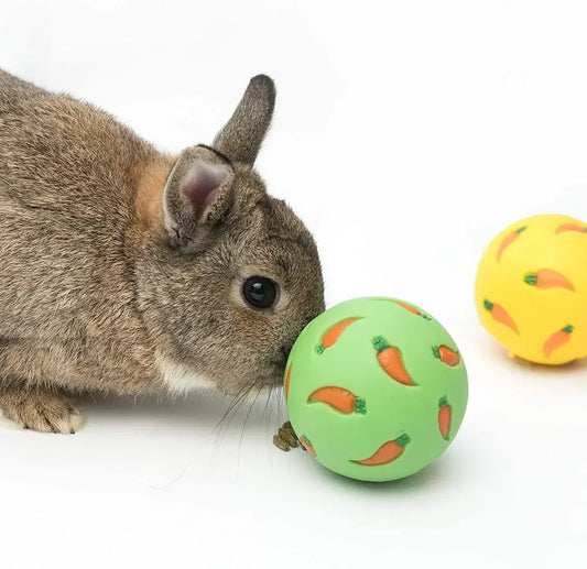Slow Feeder/Treat Ball for Small Animals