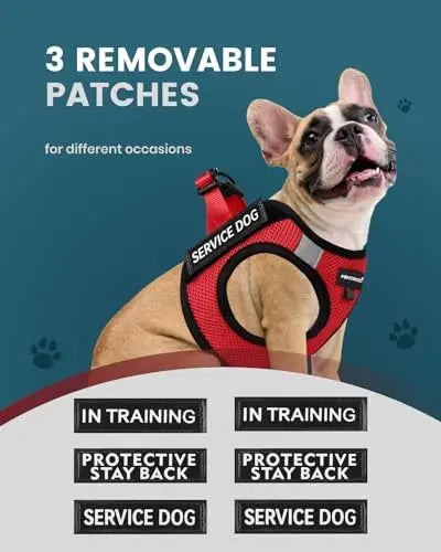 Service Dog Vest for Small Dogs with Patches