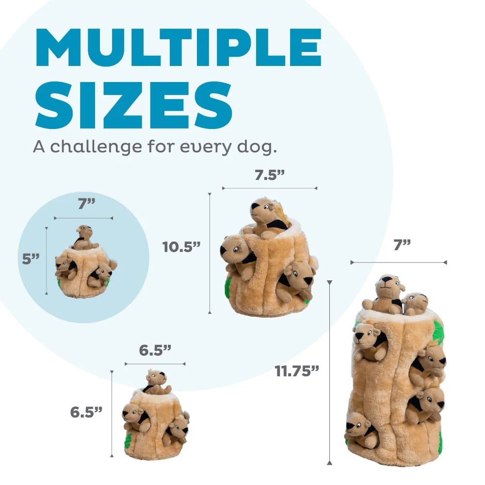 Squirrel Hide Toys w/Removable Squeakers